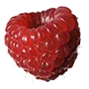 🍓