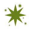 🌟
