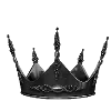👑