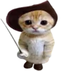 🐈