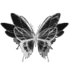 🦋