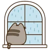 🌧️