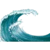 🌊