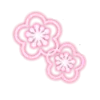 🌺