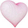 💗