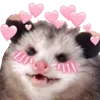 💕