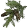 🌲