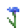 🌷