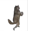 🤩