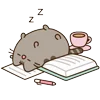 😴