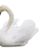 🦢