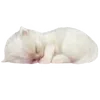 🐈