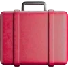 💼