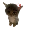⁉️