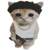 🐈