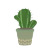 🌵