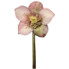 🌷