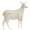 🦌