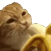 🍌