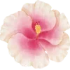 🌸