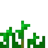 🌾