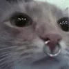 💕