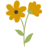 🌼