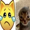 😭