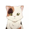 😺