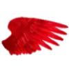 🪽