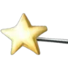🌟