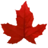 🍁