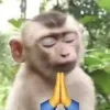 🙏