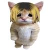 🐈