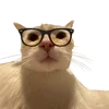 🕶️