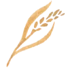 🥖