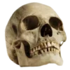 💀