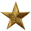 🌟