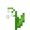 🌷