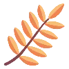 🍂