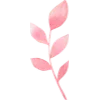 🌸