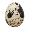 🥚