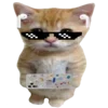 🐈