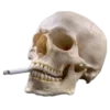 🚬