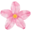 🌸