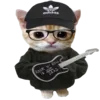 🐈
