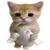 🐈
