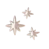 🌟