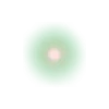 💚