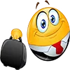 💼